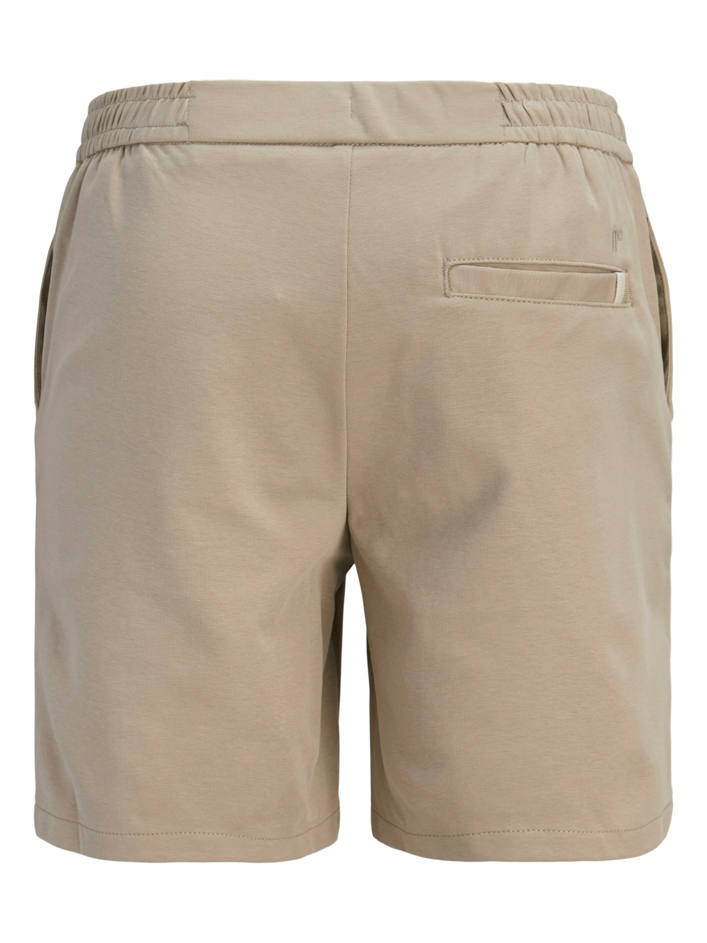 regular Pantaloni 'JPSTACE NEO' di JACK & JONES in marrone