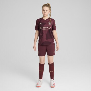 PUMA Trikot 'Manchester City 24/25 ' in Rot