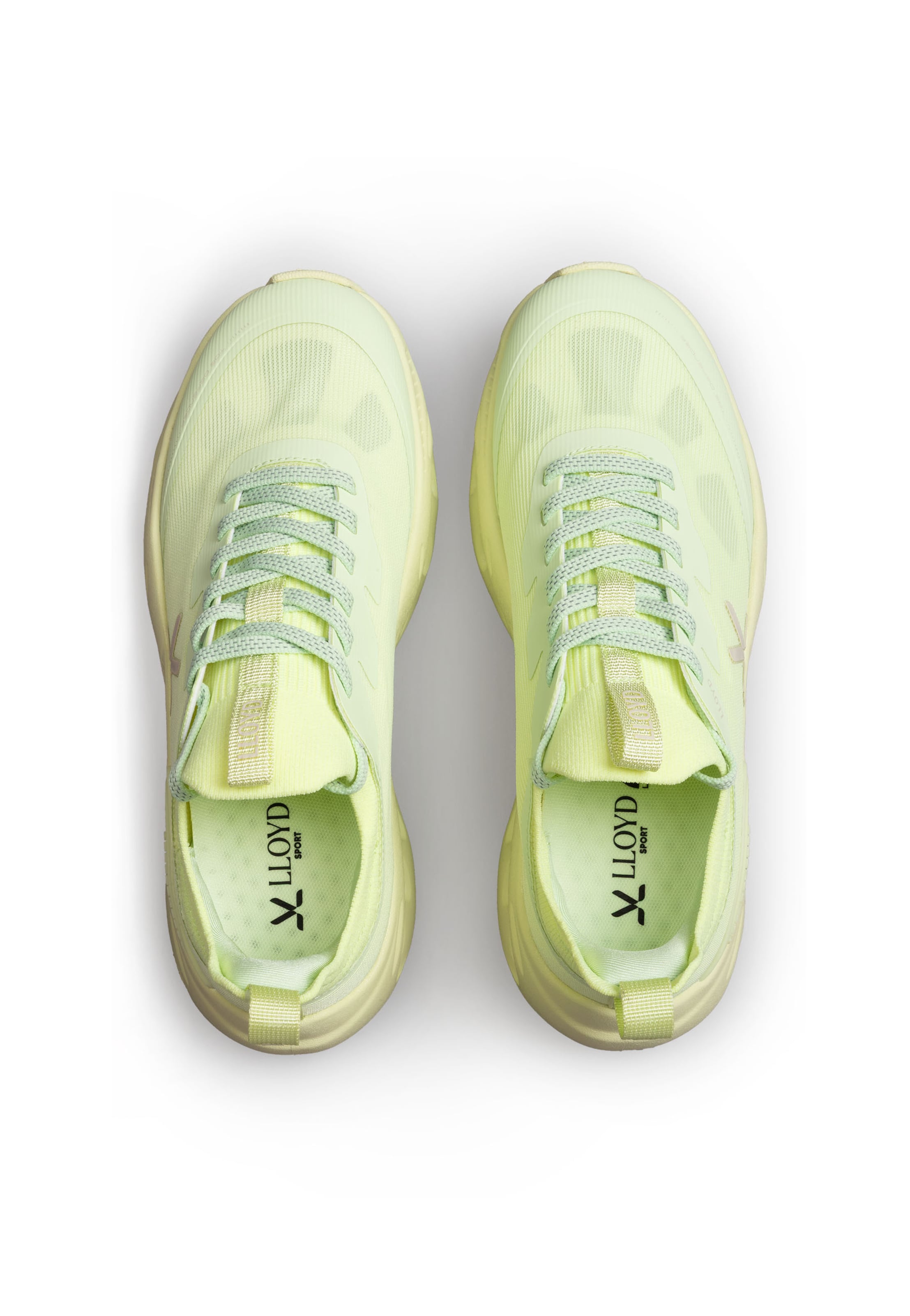 Baskets basses 'DASH ERA' LLOYD en vert