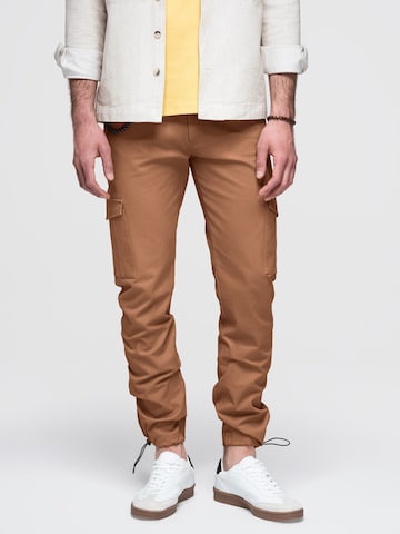 Ombre Regular Cargo Pants in Brown: front
