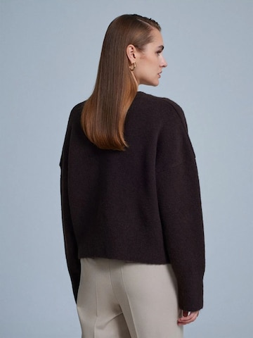 Dilvin Sweater 'Pullover' in Brown