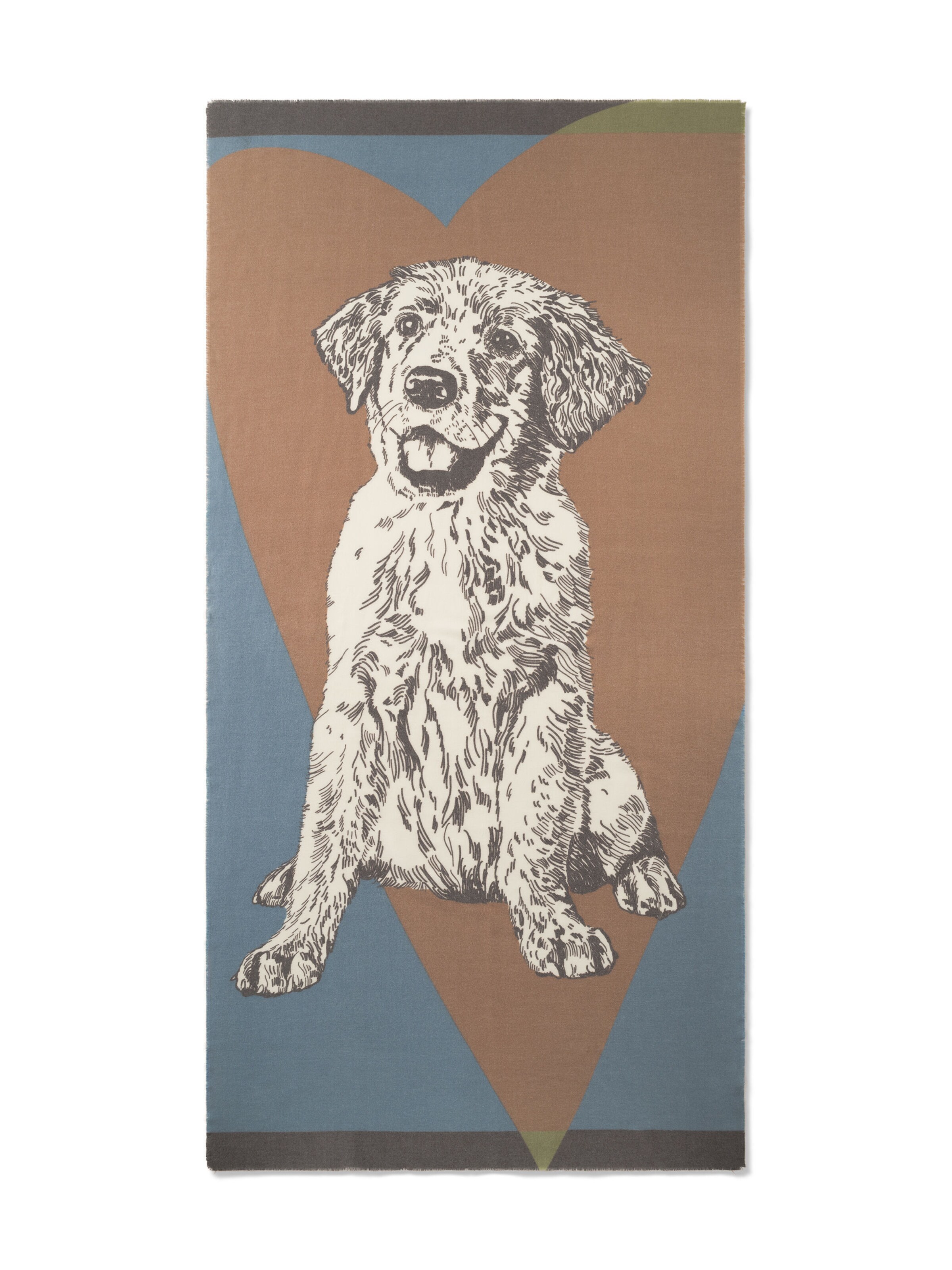 CODELLO Schal in Mischfarben: Vorderseite