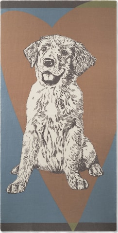 CODELLO Schal in Mischfarben: Vorderseite