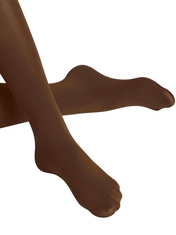 FALKE Strumpfhose 'Cotton Touch'‌‌‌‌‌‌‌‌‌‌ in Braun