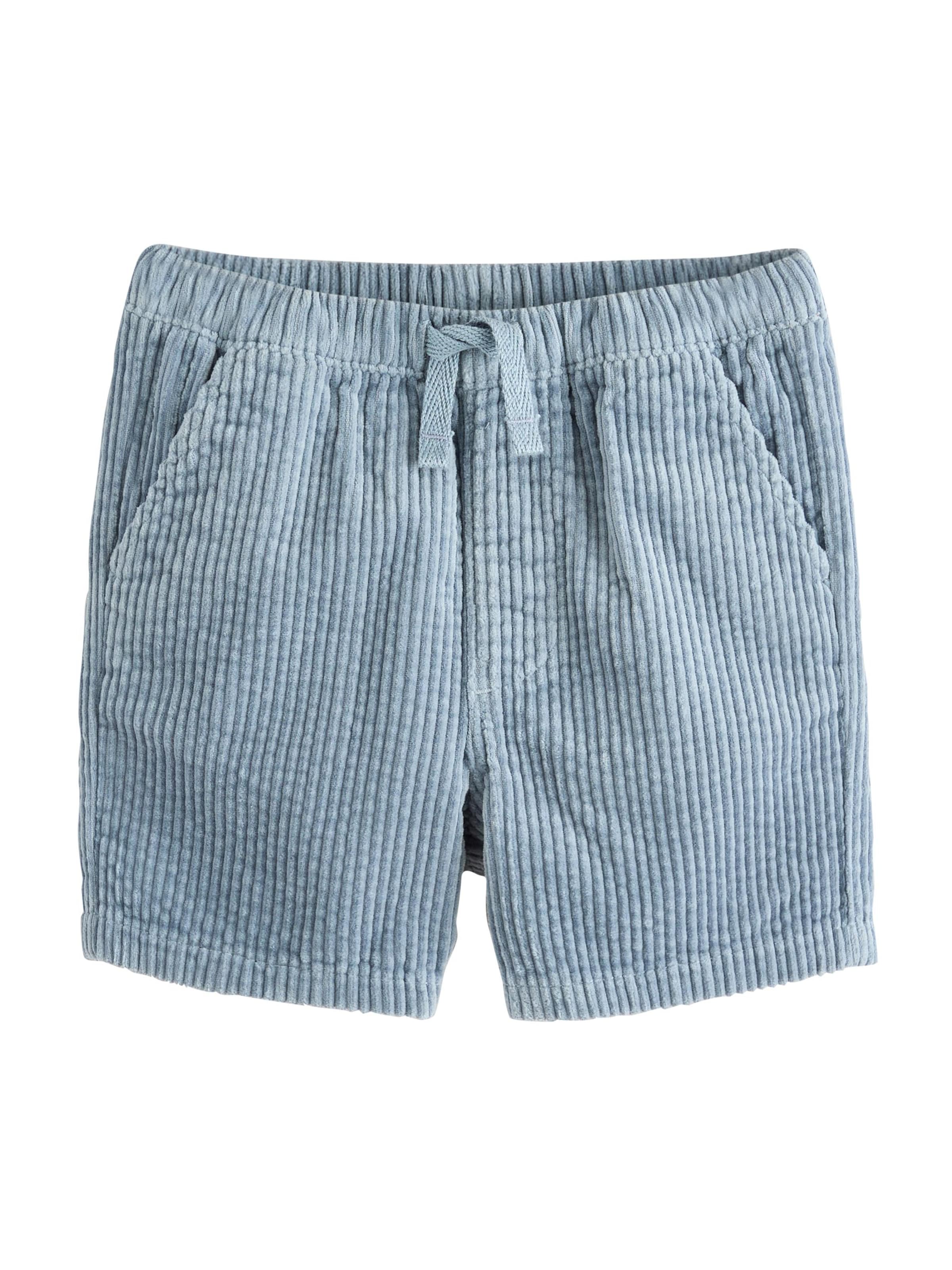 regular Pantaloni di Next in blu: frontale