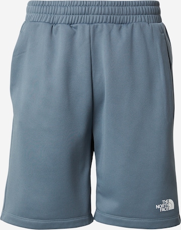 THE NORTH FACEregular Sportske hlače 'REAXION 2.0' - siva boja: prednji dio