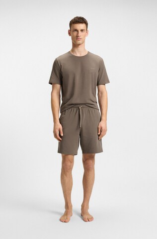 BOSS Regular Pants in Brown