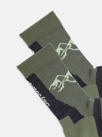 Chaussettes de sport 'Active Merino ' DillySocks en vert