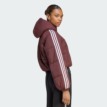 ADIDAS ORIGINALS Winterjas 'Adicolor' in Rood