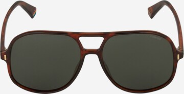 Polaroid Sunglasses in Brown