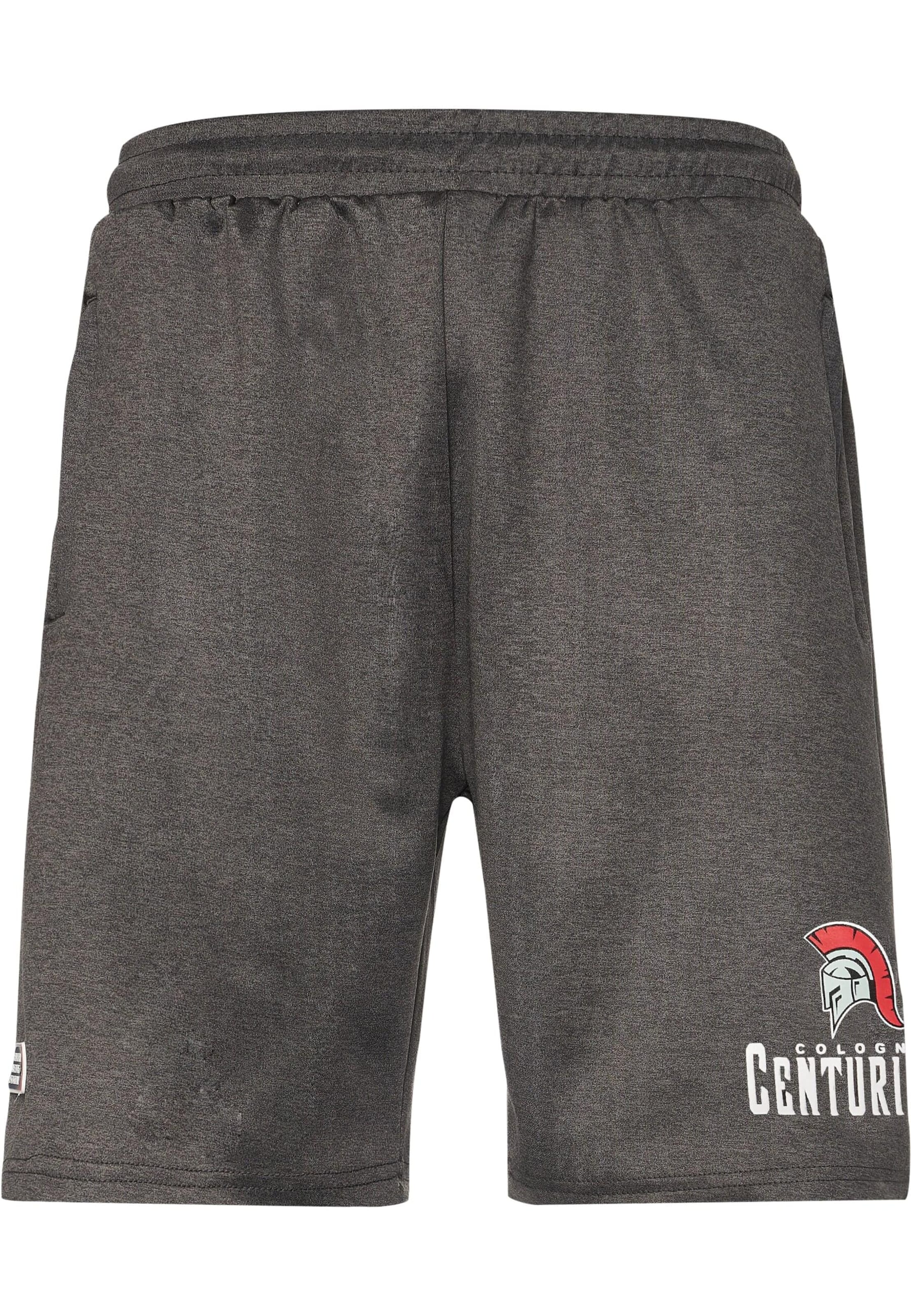 Regular Pantalon European League of Football en gris : devant