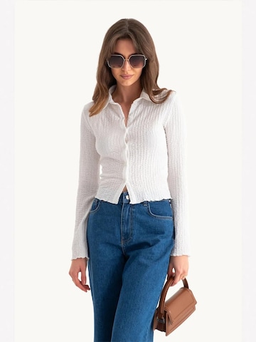 Hiccup Blouse in Wit