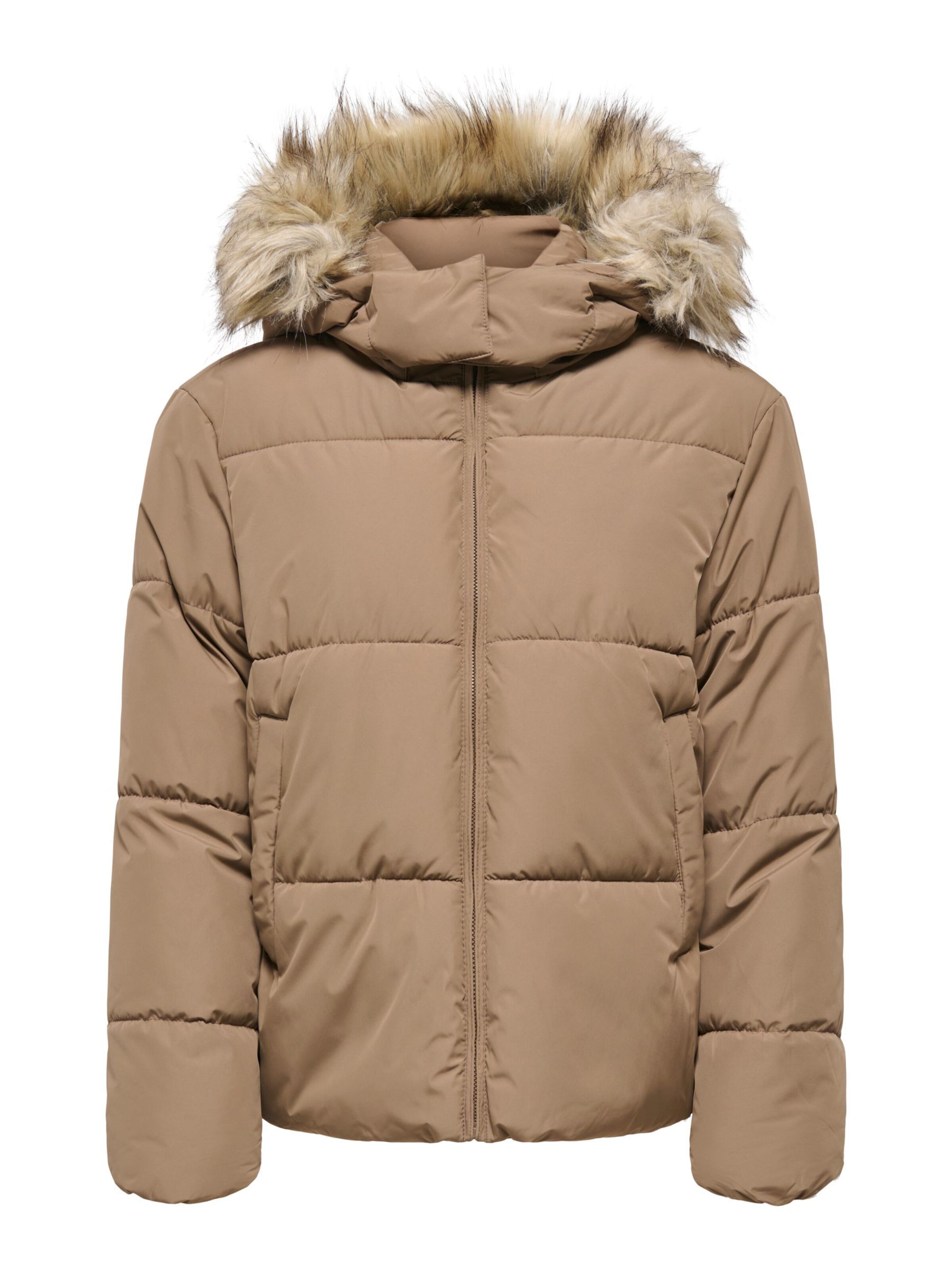 ONLY Winter jacket 'ONLJuta' in Brown: front