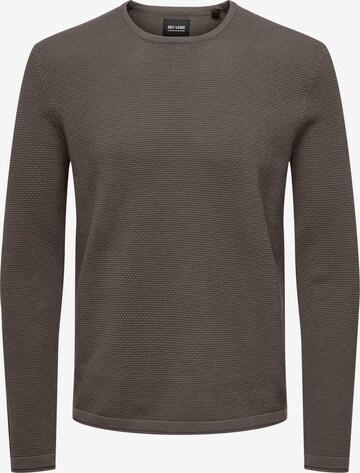 Only & Sons Pullover 'Panter' in Braun: predná strana