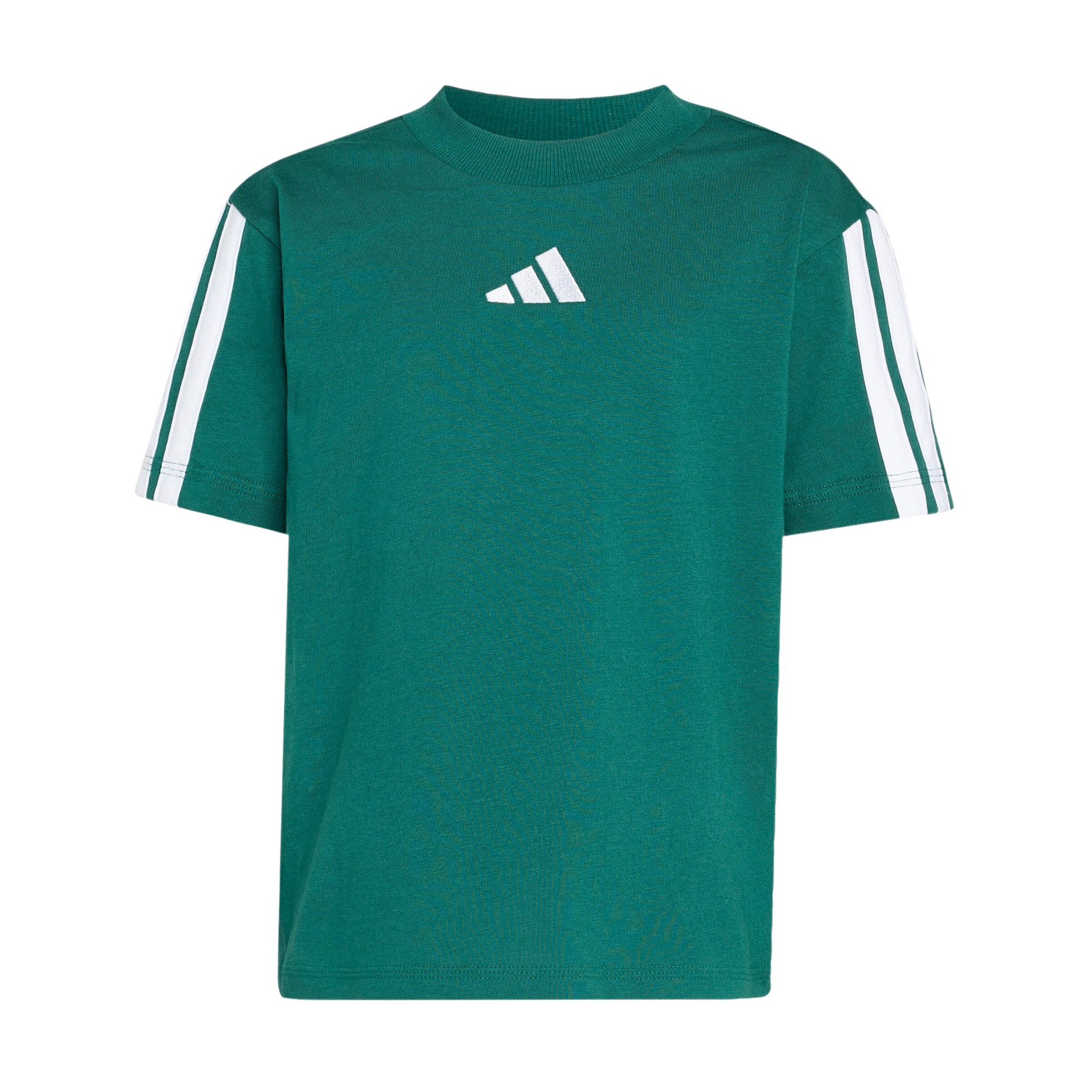 ADIDAS SPORTSWEAR - Camiseta funcional 'Essentials' en verde: frente