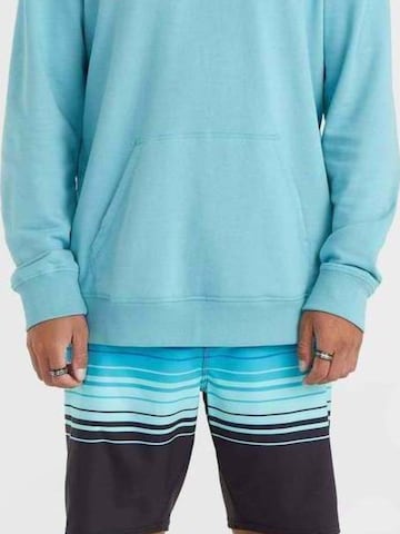 O'NEILL - Sudadera con cremallera 'O'Neill Logo Hoodie' en azul