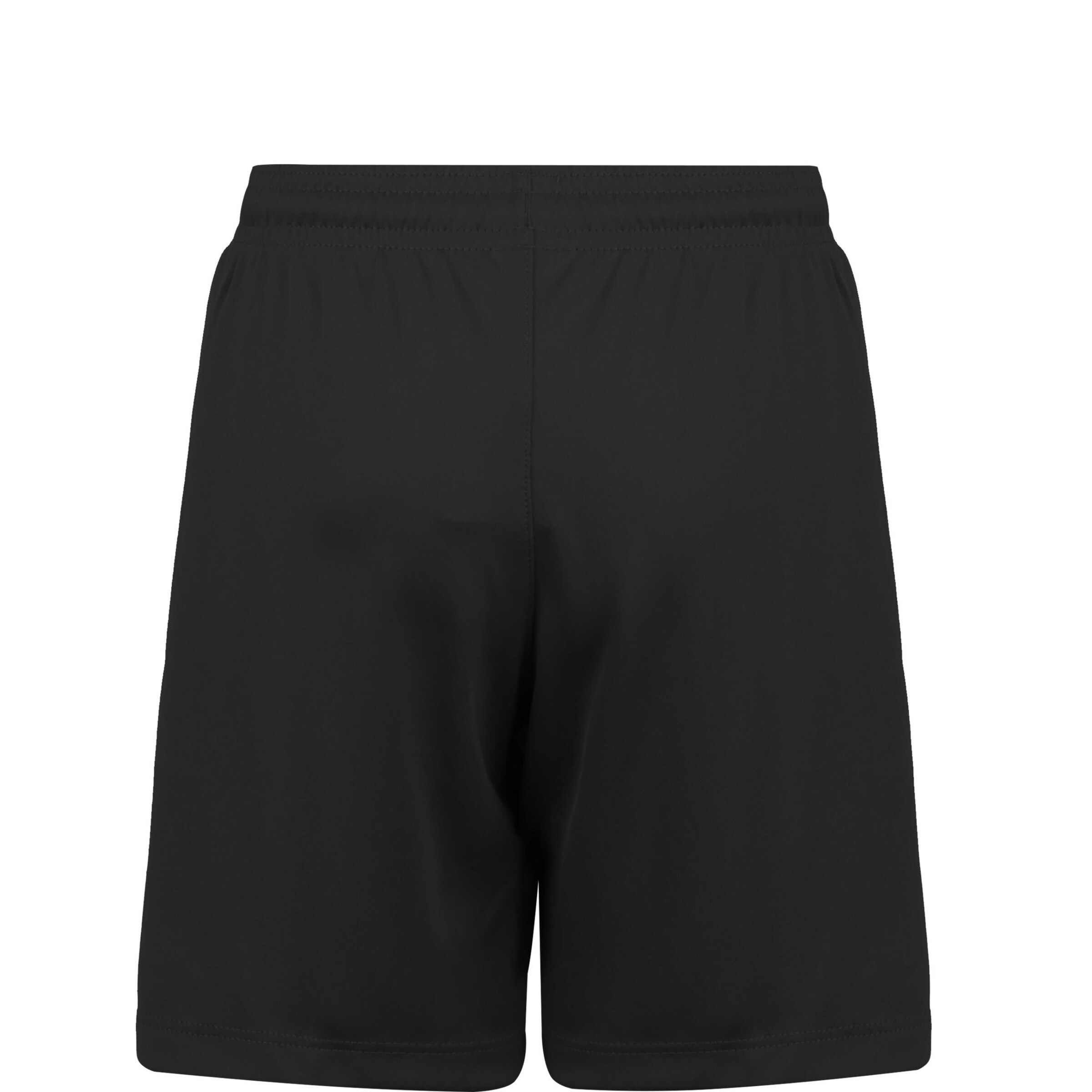 NIKE Regular Sports trousers 'Dry Park III' in Black