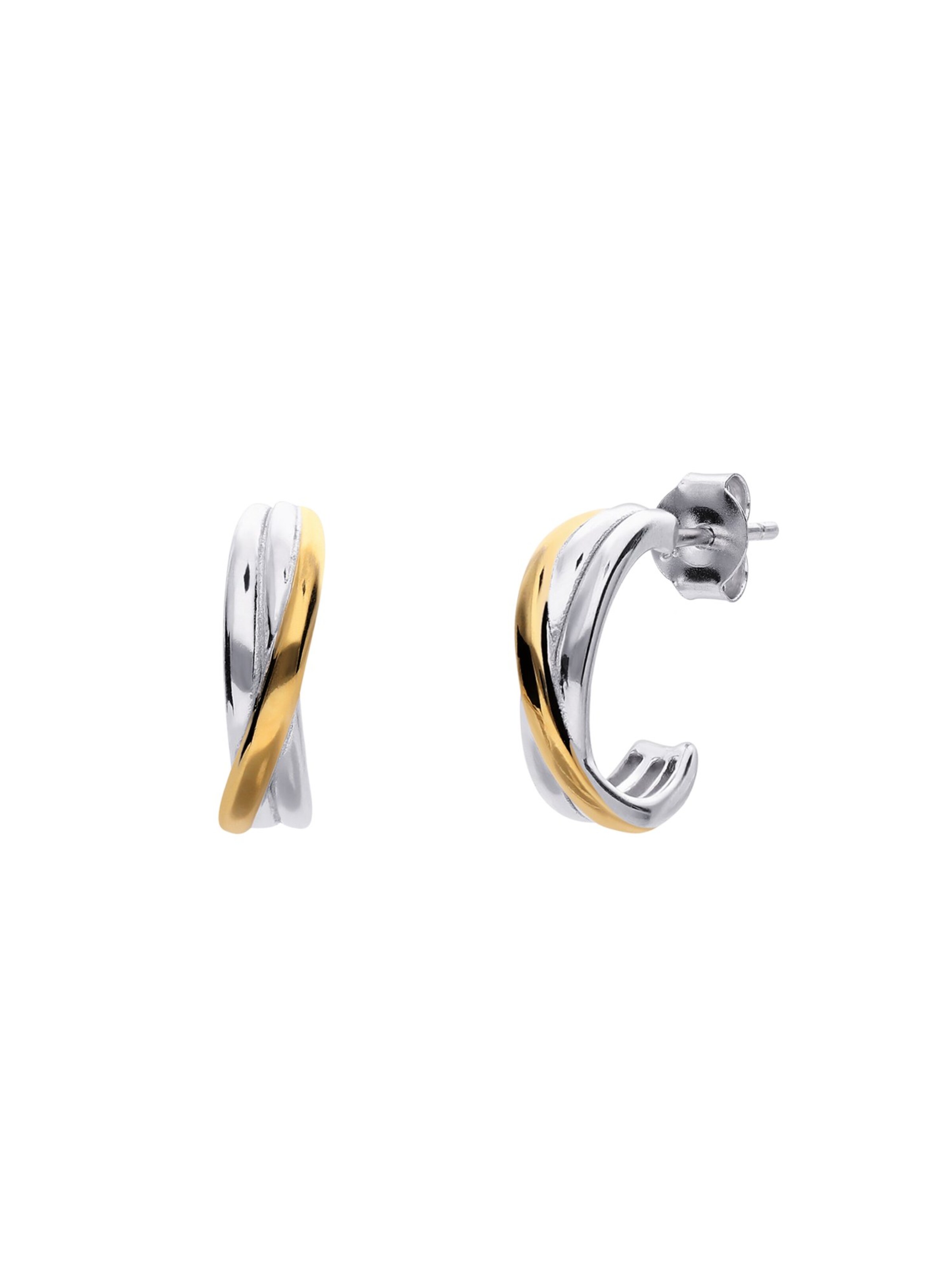 Lucardi Earrings in Silver: front