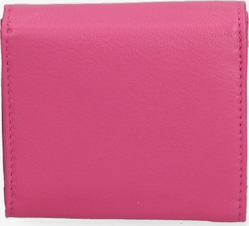 Sergio Valentini Wallet in Purple: front