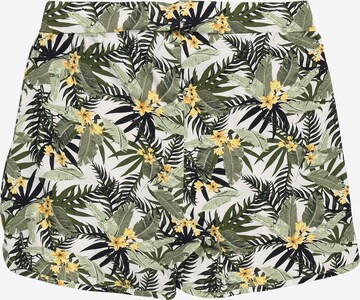 NAME IT Regular Shorts 'Josephine' in Mischfarben