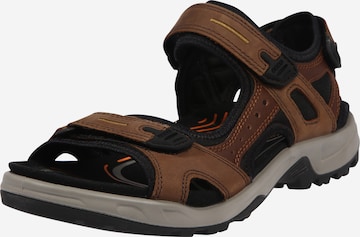 ECCO Wandelsandalen 'Offroad' in Bruin: voorkant