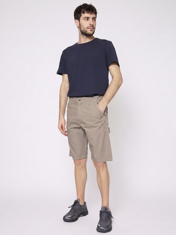 CAT Baggy Cargo Pants 'Ripstop' in Grey