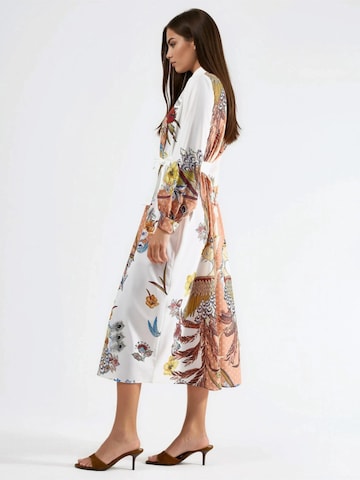 MSN Collection Dress 'Maxi' in Mixed colors