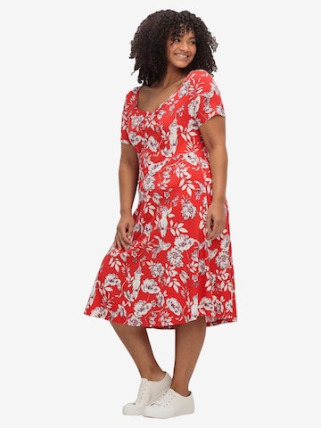 SHEEGO Dress in Red: front