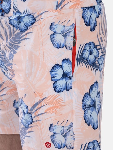 Shorts de bain Frozen Cape en mélange de couleurs