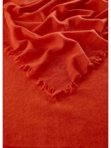 CODELLO Schal in Orange