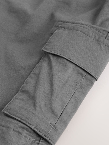 Next Regularen Hlače | siva barva