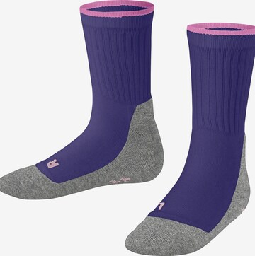 FALKE Socks 'Active Everyday' in Mixed colors: front