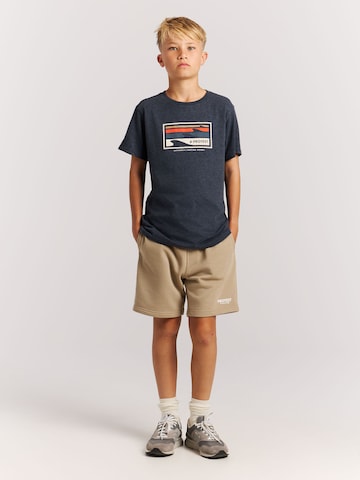 PROTEST Shirt 'PRTRay JR' in Blue