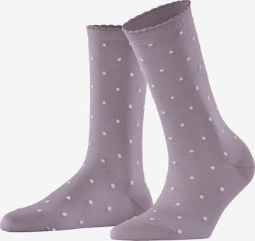 FALKE Socken 'Spike Dot' in Lila: Vorderseite