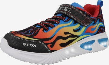 GEOX Sneaker ' Assister ' in Mischfarben: predná strana
