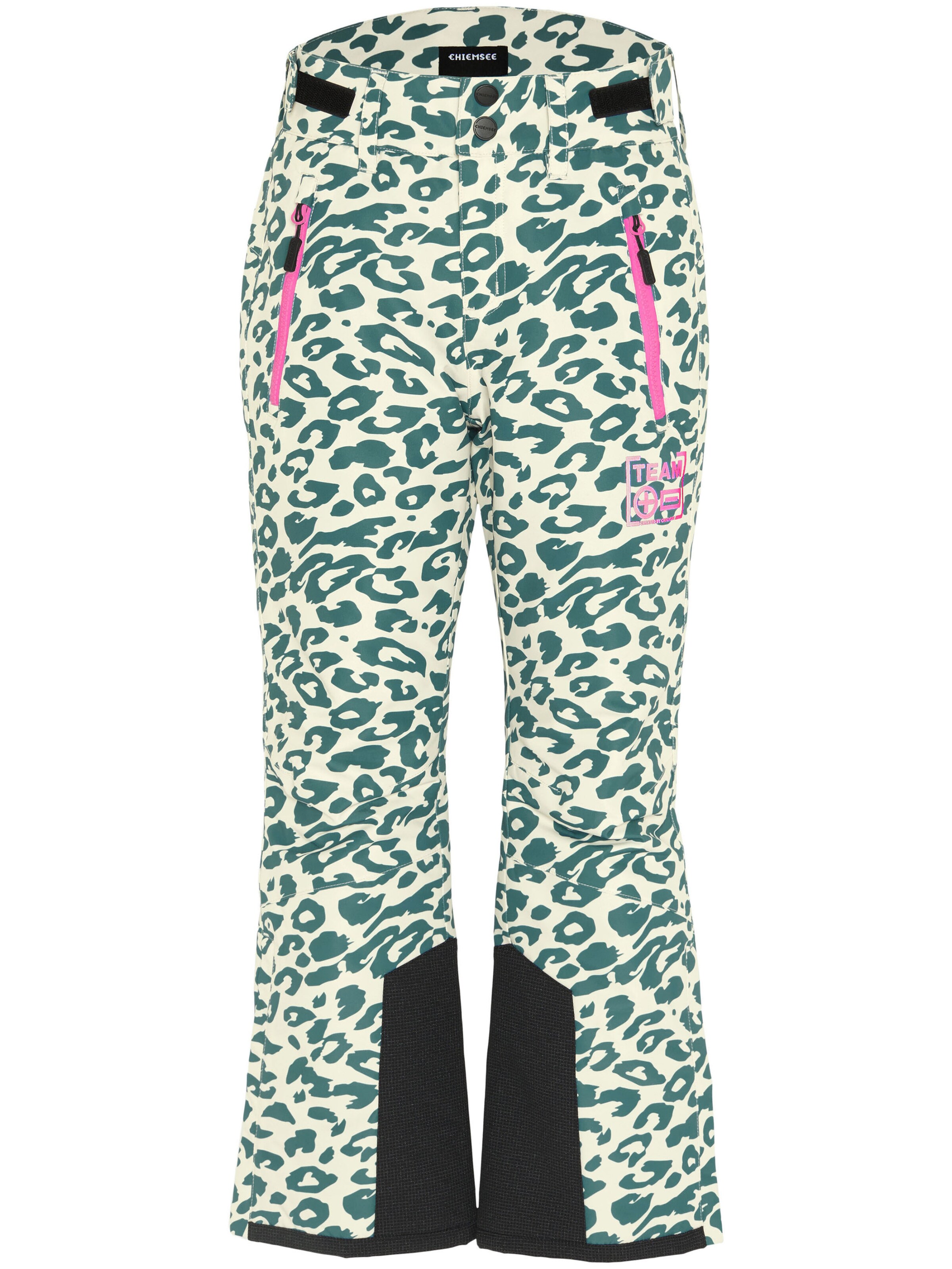 CHIEMSEE Regular Workout Pants ' mit AOP ' in Beige: front