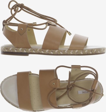 GEOX Sandalen 38 in Beige: predná strana