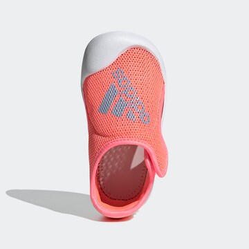 ADIDAS SPORTSWEAR Beach & Pool Shoes 'Altaventure' in Orange