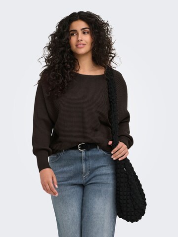 Pull-over 'CARNew Adaline' ONLY Carmakoma en marron : devant