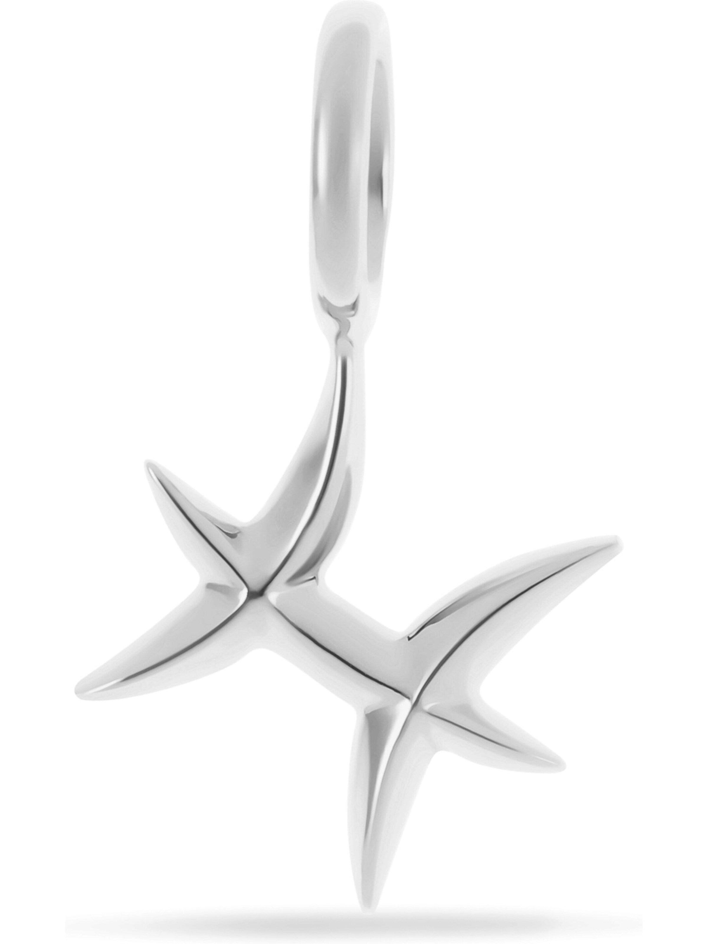 FAVS Anhänger in Silber: Vorderseite