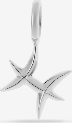 FAVS Anhänger in Silber: Vorderseite