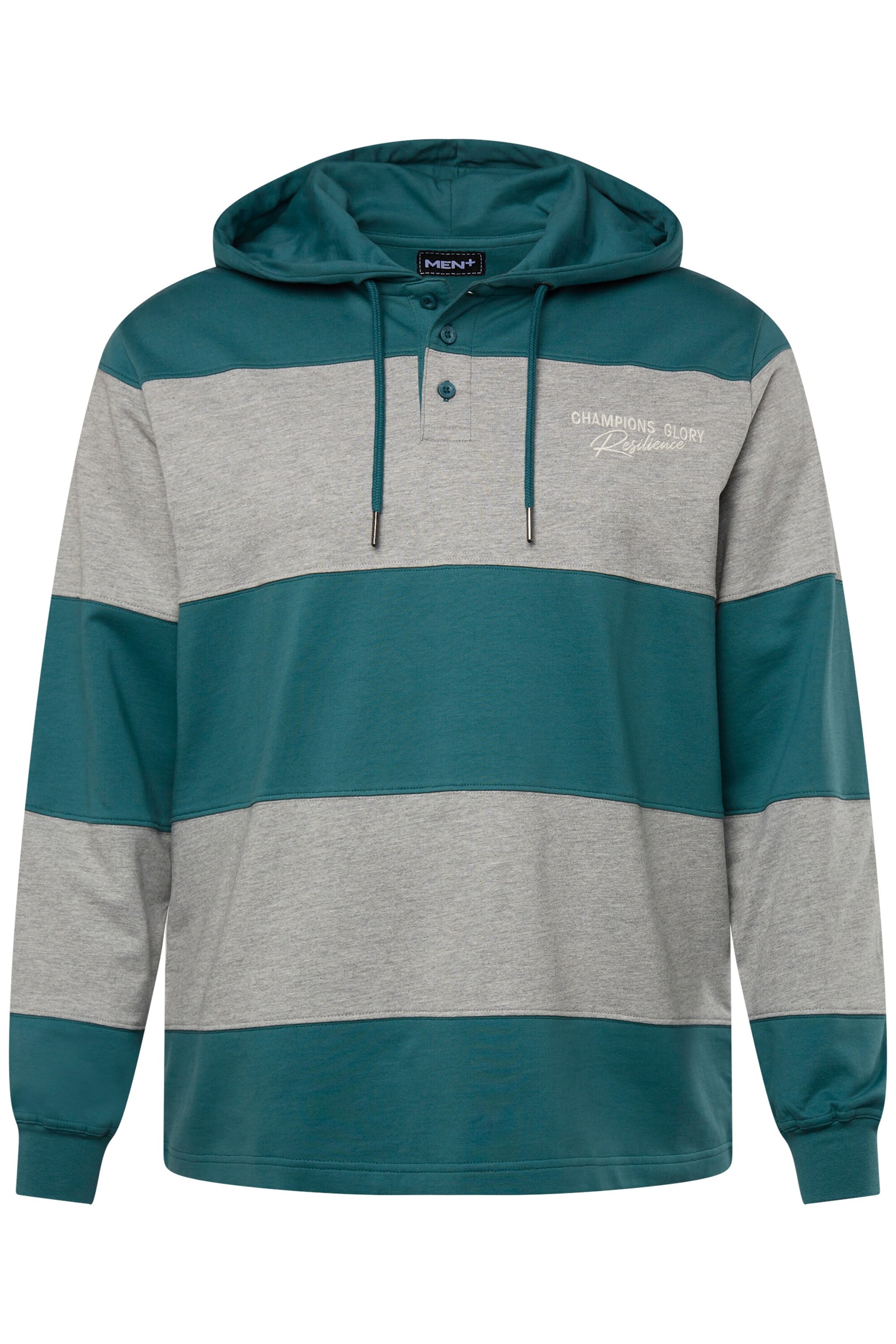 Men Plus Sweatshirt in Blau: Vorderseite