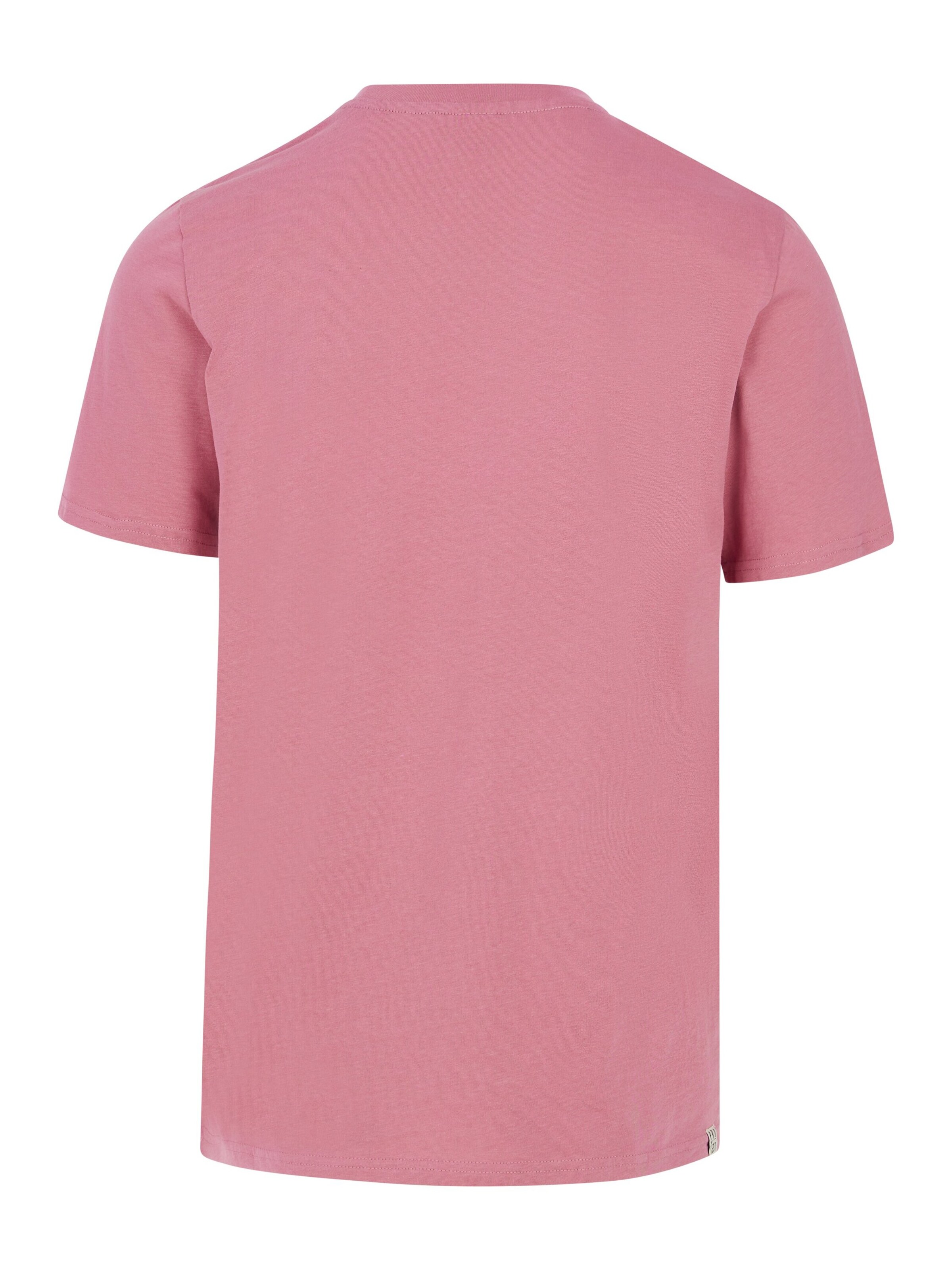 PROTEST Shirt 'PRTBarn' in Pink