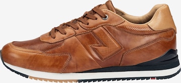 LLOYD Sneakers laag 'ENOS' in Bruin: voorkant