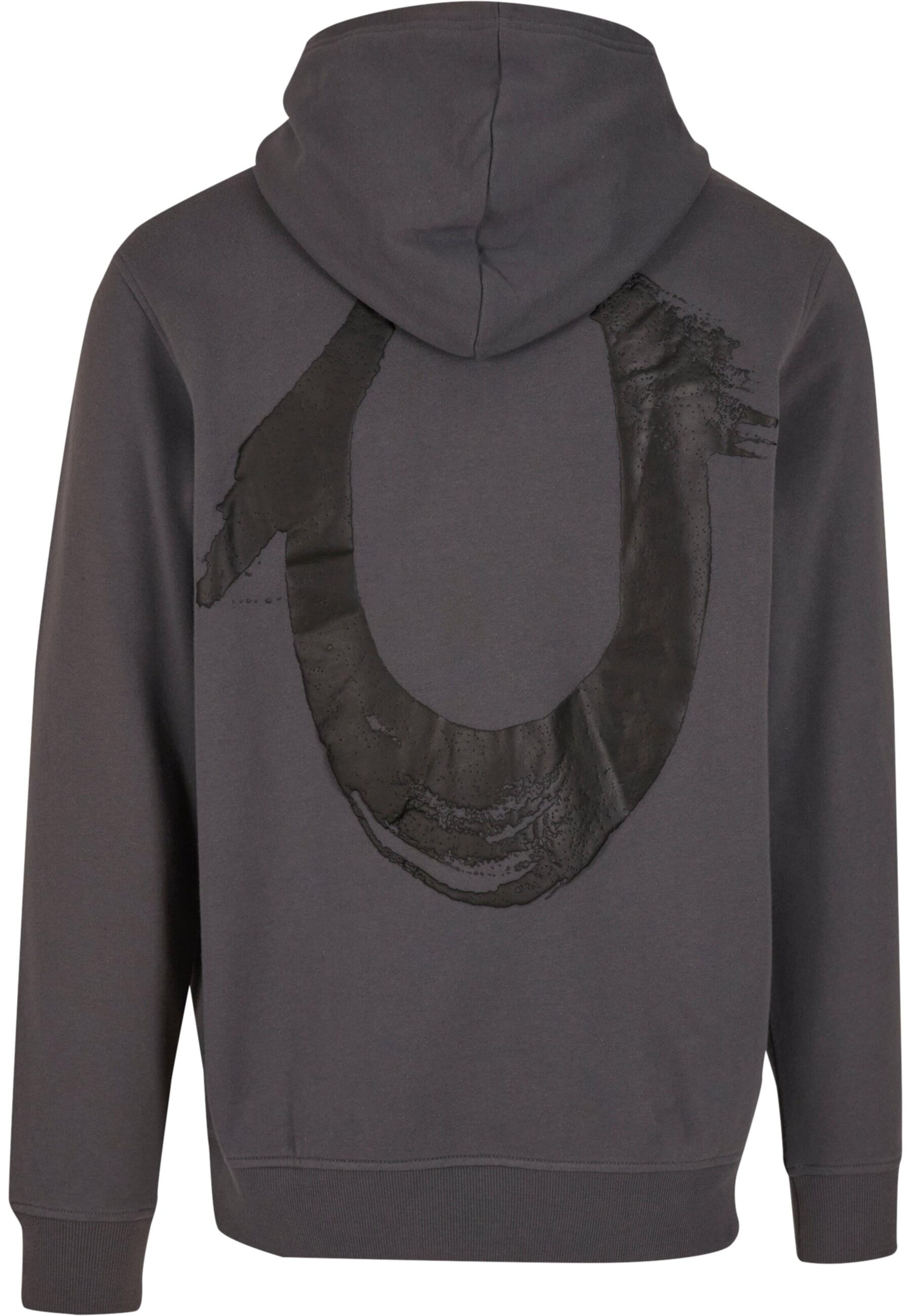 True Religion Sweatshirt in Grey
