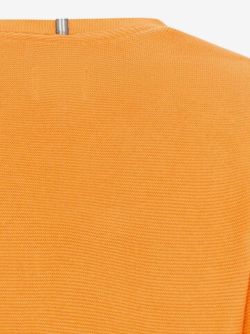 CAMEL ACTIVE Pullover in Orange