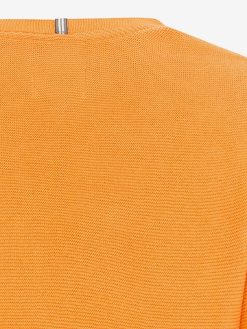 CAMEL ACTIVE Sweater in Orange
