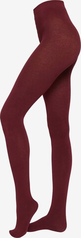 CALZEDONIA Tights 'thermo' in Red: front