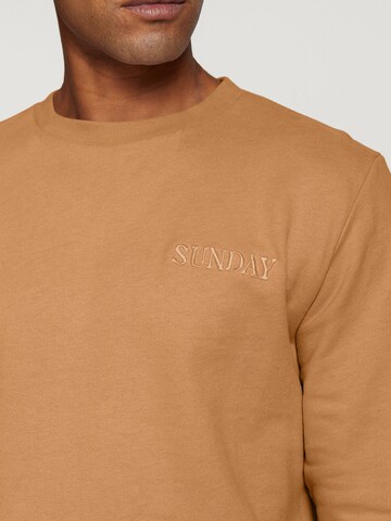Shiwi Sweatshirt 'Sunday' i brun