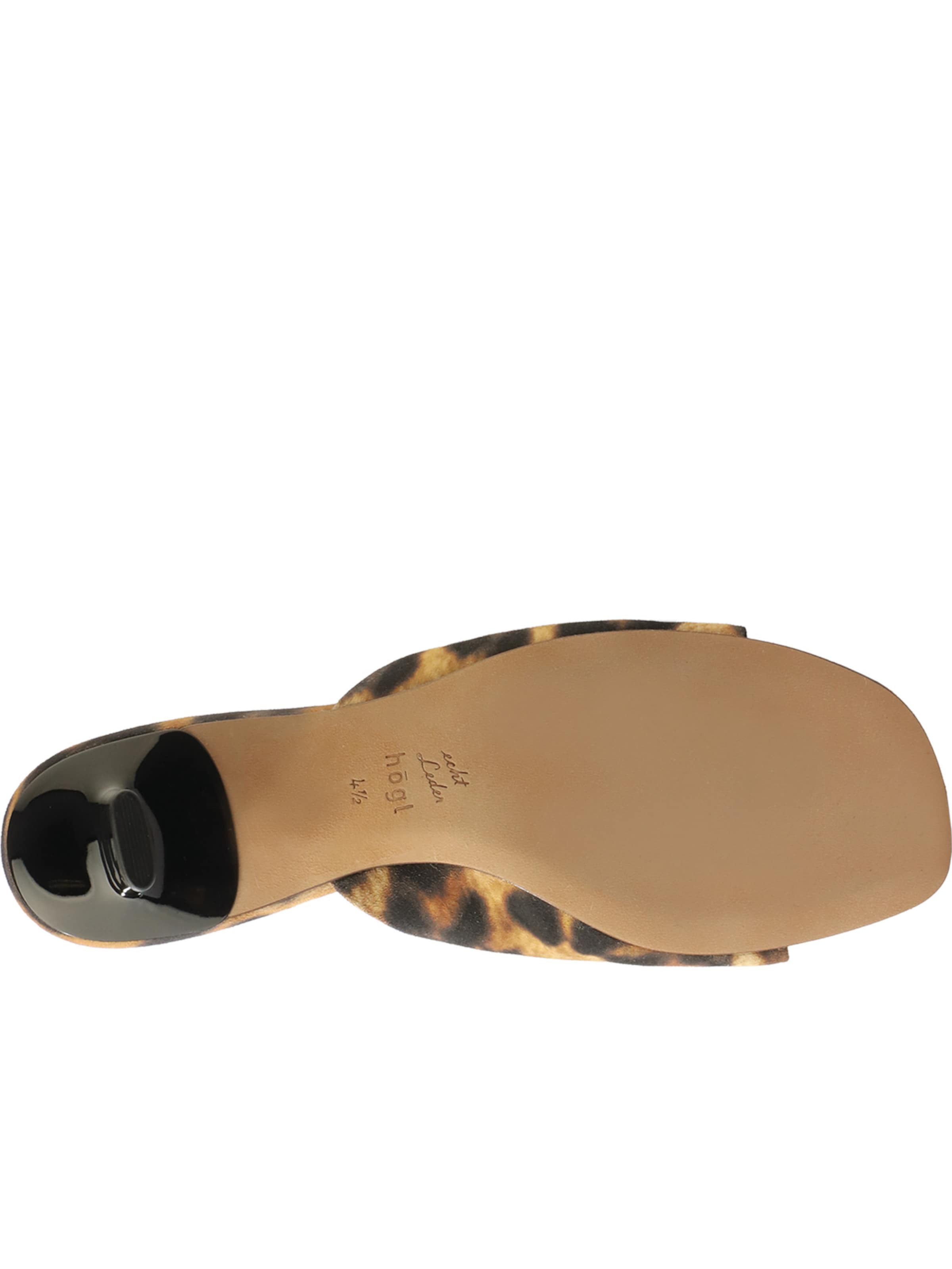 Mule 'Dorina' Högl en marron